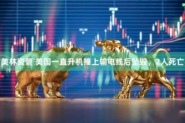 美林资管 美国一直升机撞上输电线后坠毁，2人死亡